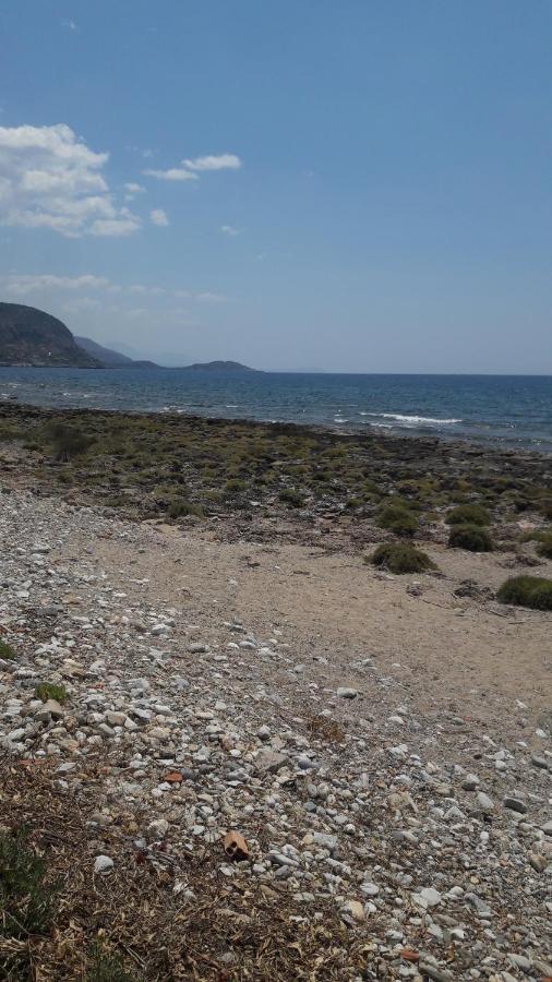 Παραθαλάσσιο Studio Agios Nikolaos  Buitenkant foto